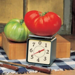 Big Zac® Hybrid Tomato