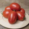 Mariana Hybrid Tomato