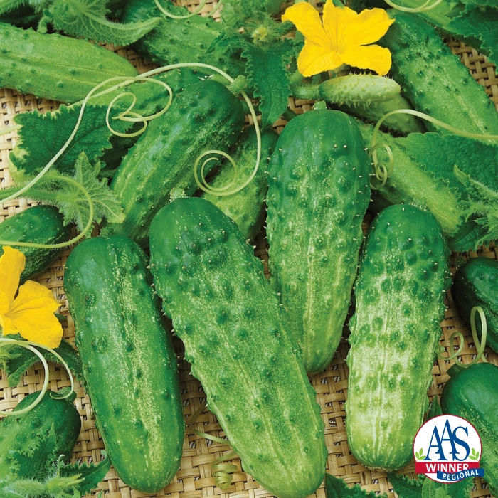 Pick A Bushel Hybrid Cucumber 1 Pick A Bushel Hybrid Cucumber
