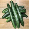 Summer Dance Hybrid Cucumber