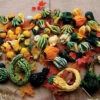 Autumn Wings Blend Gourds