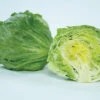 Chamisal Lettuce