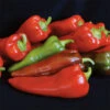 Carmen Hybrid Pepper