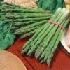 Millennium Hybrid Asparagus
