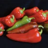 Carmen Hybrid Organic Pepper