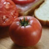 Tidy Rose Hybrid Tomato